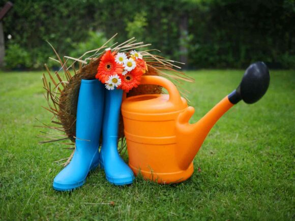 Pourquoi ne jamais manquer un petit jardin dans sa parcelle